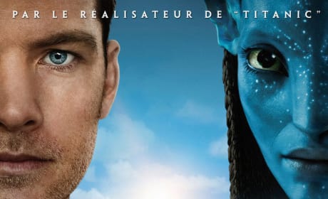 French Avatar Poster Revealed!
