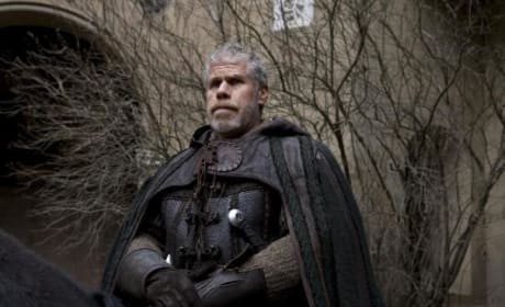 Ron Perlman as Felson