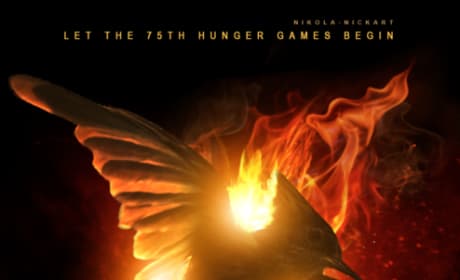 Watch The Hunger Games: Catching Fire Online