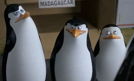 The Penguins of Madagascar Movie Still