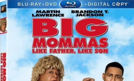 Big Mommas: Like Father, Like Son DVD Cover