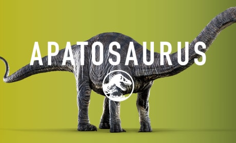 Jurassic World Apatosaurus