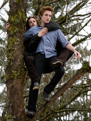 Twilight Characters