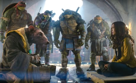 Still Teenage Mutant Ninja Turtles