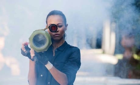 Colombiana Movie Review: Riveting