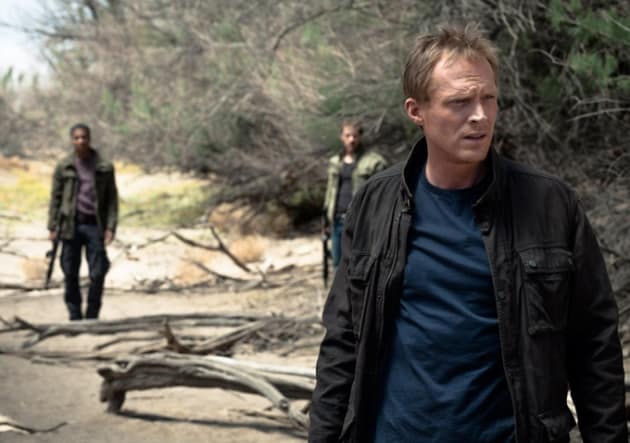 Paul Bettany Searches for Answers