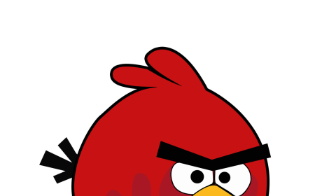 Angry Birds Photo