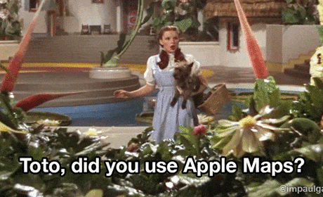 The Wizard of Oz GIF