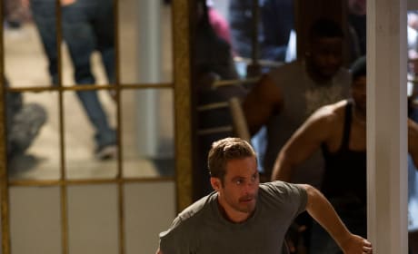Paul Walker Stars Brick Mansions