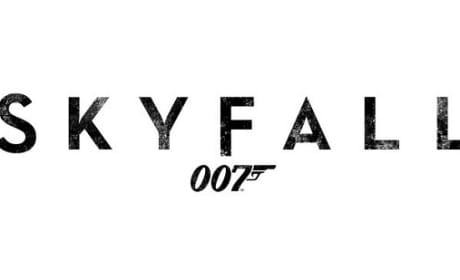 Is Adele Recording Skyfall Theme?
