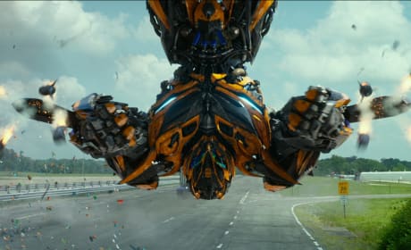 Bumblebee Transformers: Age of Extinction Photo