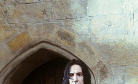 Professor Severus Snape Picture