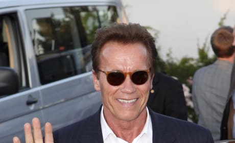 Schwarzenegger Film The Last Stand Has Release Date