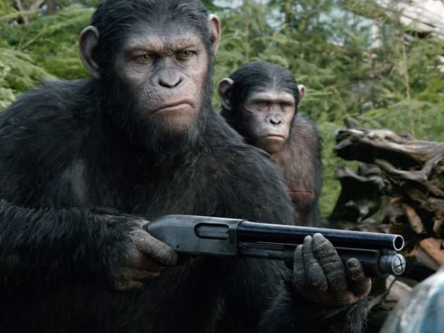 Apes with Shotguns!