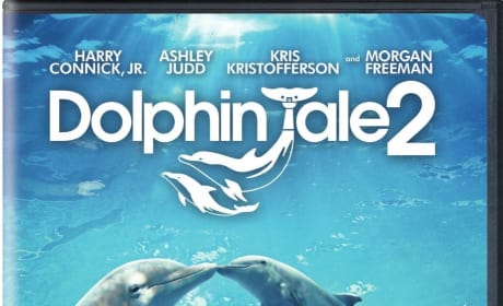 Dolphin Tale 2 DVD