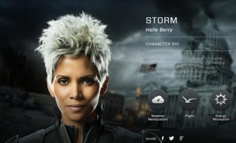 X-Men Days of Future Past Storm Bio Banner