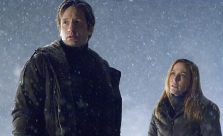 Producer Ponders Another X-Files Movie