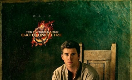 Catching Fire Gale Portrait