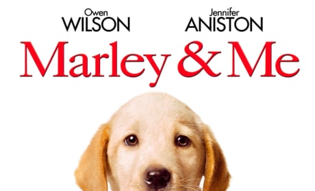 Marley & Me Poster