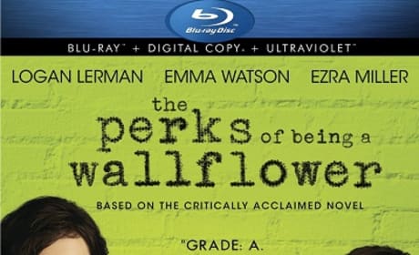 The Perks of Being a Wallflower Blu-Ray