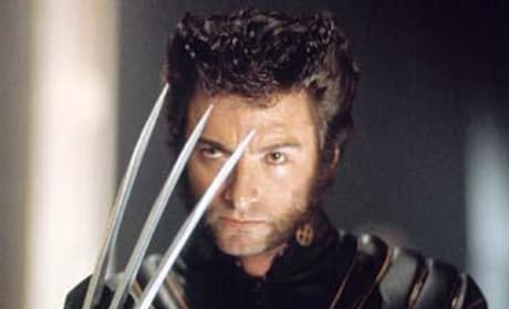 Wolverine
