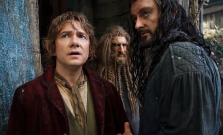 The Hobbit: The Desolation of Smaug Martin Freeman Richard Armitage