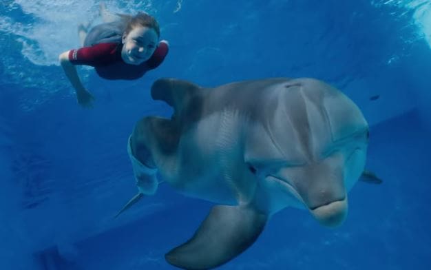 Dolphin Tale 2 Photo Still