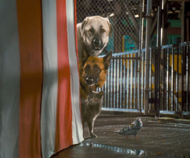 Espionage Dogs