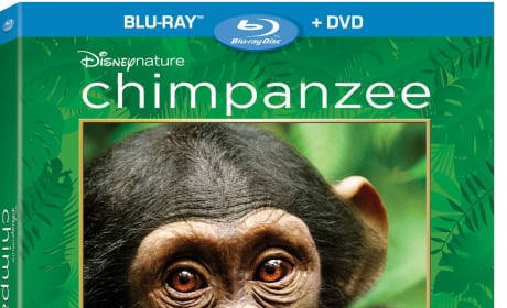 Chimpanzee Blu-Ray Cover