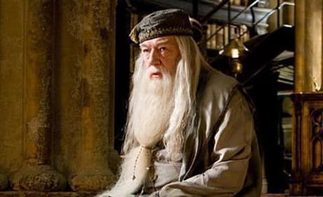 Professor Dumbledore 