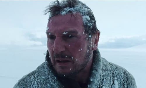 The Grey Star Liam Neeson
