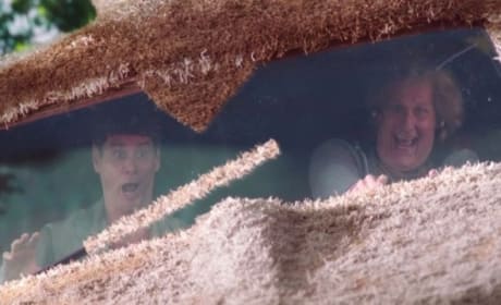 Dumb and Dumber To TV Spot: Check Out the Hotties! 