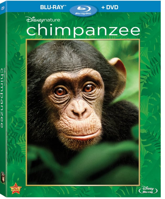 Chimpanzee Blu-Ray Cover