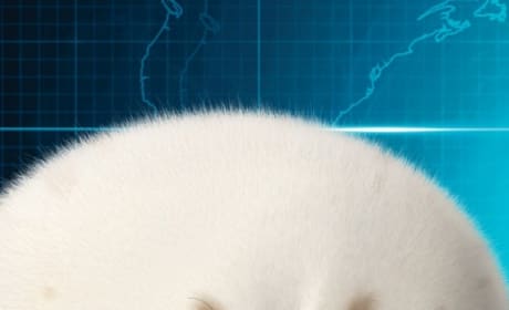 Penguins of Madagascar Ken Jeong Character