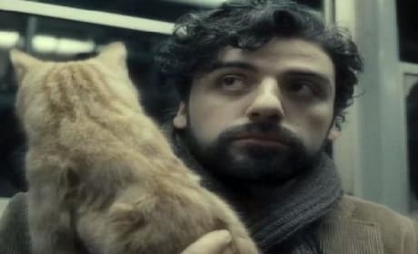 Inside Llewyn Davis Trailer: Explain the Cat!