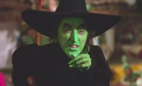 The Wizard of Oz Wicked Witch