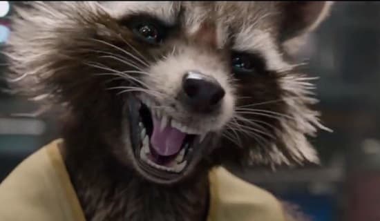 Rocket Raccoon Photo