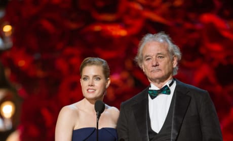 Bill Murray Amy Adams Oscars