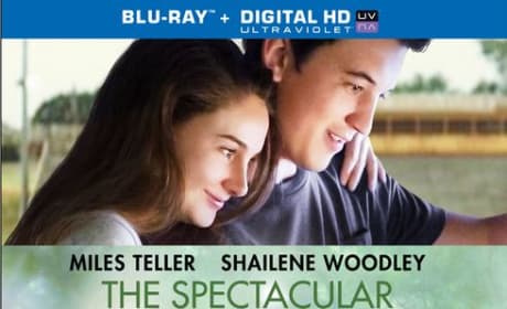 The Spectcular Now DVD