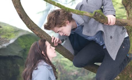 Twilight Simultaneously Released on Video on Demand and DVD