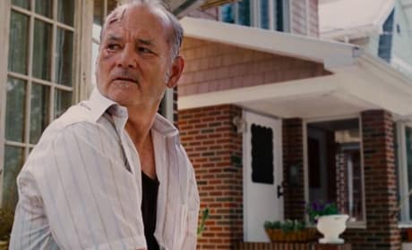 St. Vincent Star Bill Murray