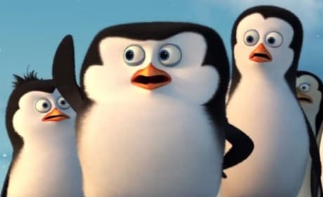 Penguins of Madagascar Opening Scene: Watch Now! 