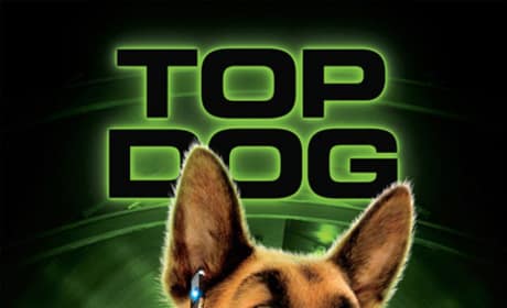 Cats and Dogs Top Dog Poster