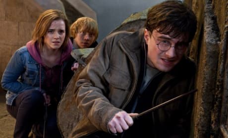 Harry Potter Blu-Ray, DVD to Be Pulled From Shelves