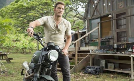 Jurassic World First Photos: Chris Pratt Is Ready for Action