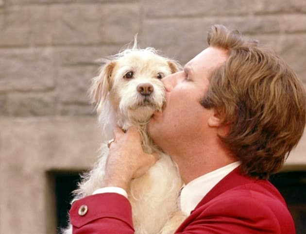 Ron Burgundy and Baxter