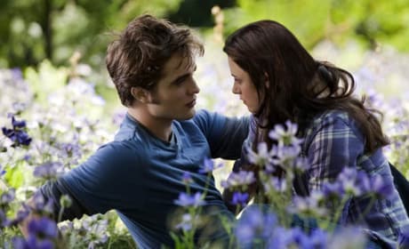 Breaking Dawn Part 2 Gets a Release Date