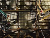 The Amazing Spider-Man Behind The Scenes Photo: Rafters
