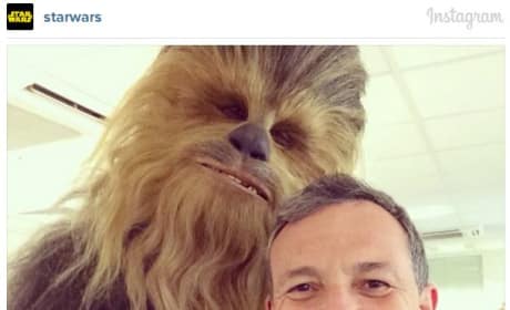 Chewbacca Instagram Photo