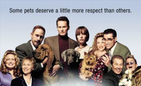 Watch Best in Show Online